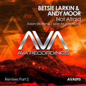 Not Afraid (Remixes Part 2)