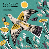 Sounds of Rewilding – A Day in the Life of the Knepp Estate