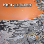 Suicide Beauty Spot by Point B