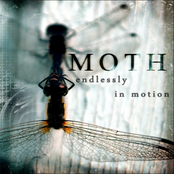 Endlessly In Motion by Moth