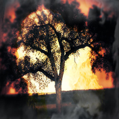 Blood Meridian For Electric Drone Guitar XV-XVII