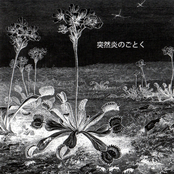 Suddenly, Like Flames