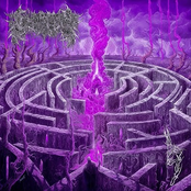 Shrouded in Crystals