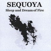 Sleep and Dream of Fire