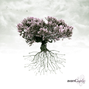 Avam Garde Trio