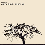 Only A Plant Can Help Me