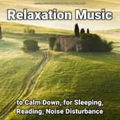 Relaxation Music to Calm Down, for Sleeping, Reading, Noise Disturbance