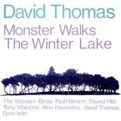Monster Walks The Winter Lake