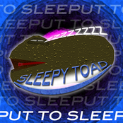 Put to Sleep