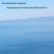 The Spectacular Lo-Fi Years (2001-2008): Level Two