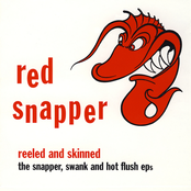 Swank by Red Snapper