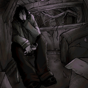 мои старые вансы