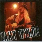 Losin' Your Mind by Zakk Wylde