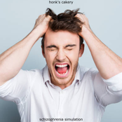 Schizophrenia Simulation