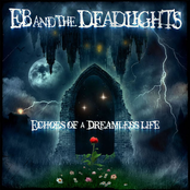 Echoes Of A Dreamless Life
