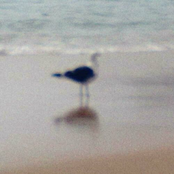 Intervalo Entre a Existência e a Morte