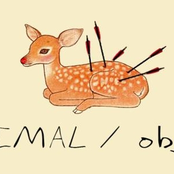 animal / object