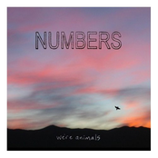 Crows by Numbers