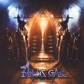 Purification by Anubis Gate