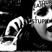 Your Ears Are Stupid