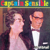 Rough Justice by Captain Sensible