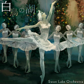 swan lake orchestra