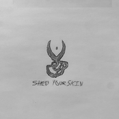 shed your skin