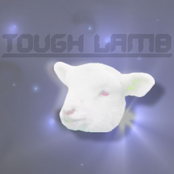 tough lamb
