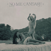 No Me Cansare - Single