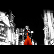 ミッドナイトライナー