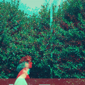 GRAHAM: Mad It's My Fault