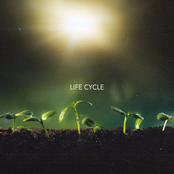 life cycle