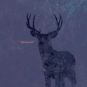 Deer twilight