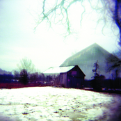 Horse Feathers: House With No Home