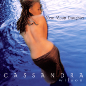 I'm So Lonesome I Could Cry by Cassandra Wilson