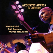 habib koite, afel bocoum, oliver mtukudzi