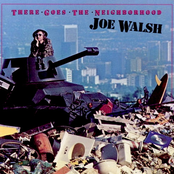 You Never Know by Joe Walsh