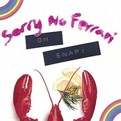 Simple Plan by Sorry No Ferrari