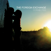 Nic's Groove by The Foreign Exchange