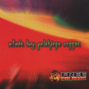 Młode Lwy Polskiego Reggae