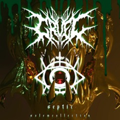 Septic