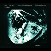 Bach: Morimur
