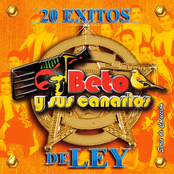 20 Éxitos de Ley (Serie de Colección)