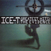 Greatest Hits: The Evidence