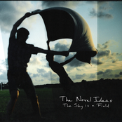 The Novel Ideas: The Sky is a Field