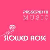 Slowed Rose