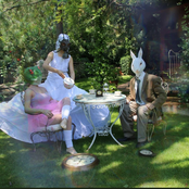 Do You Hear The Colors?