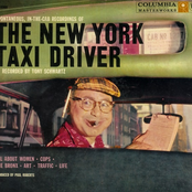 The New York Taxi Driver