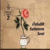 Gönülden İlahiler, Vol. 2 (Özledik Sultanım Seni)