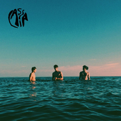 Cassia: 100 Times Over